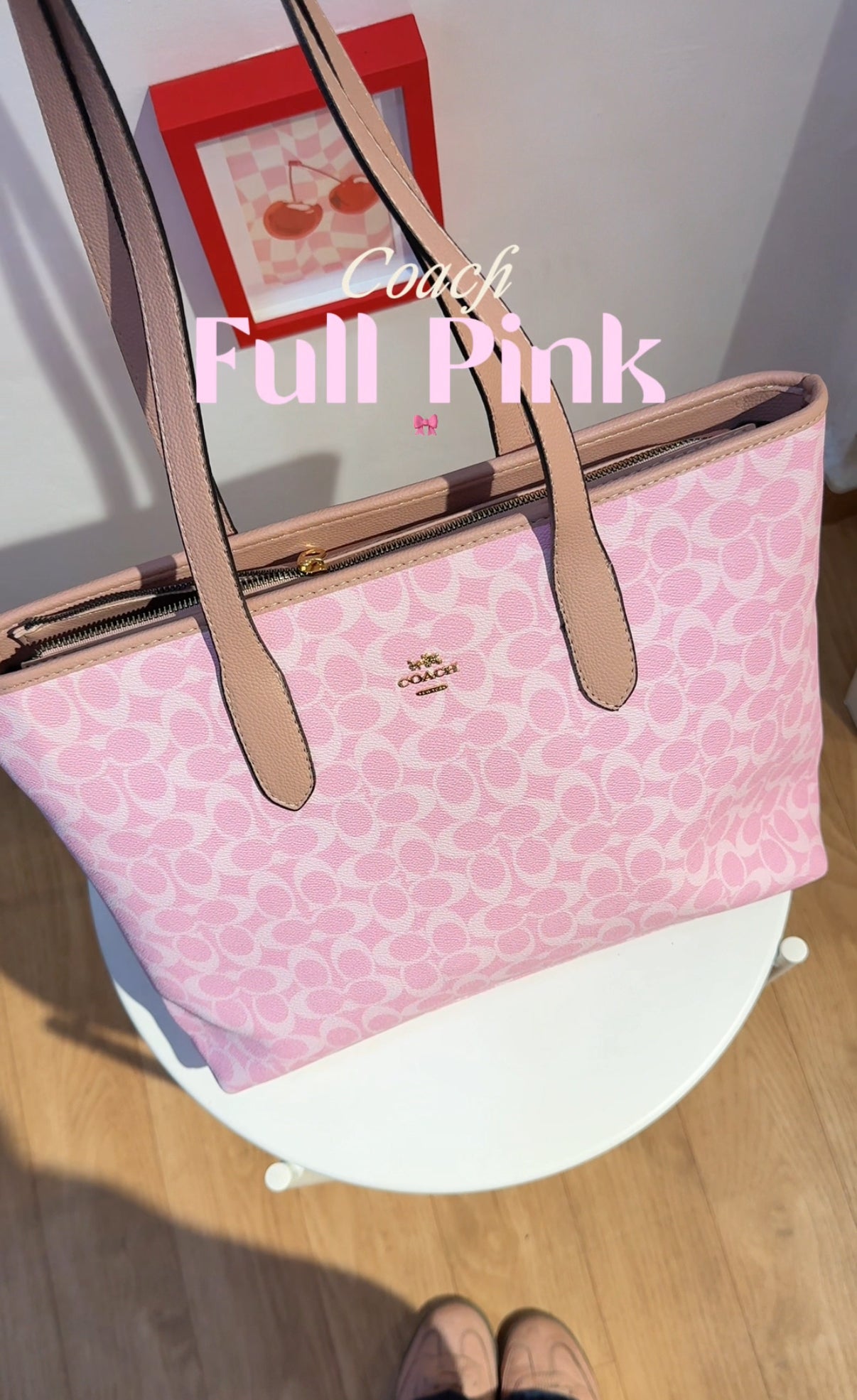 Full Pink Coach 🎀🩰
