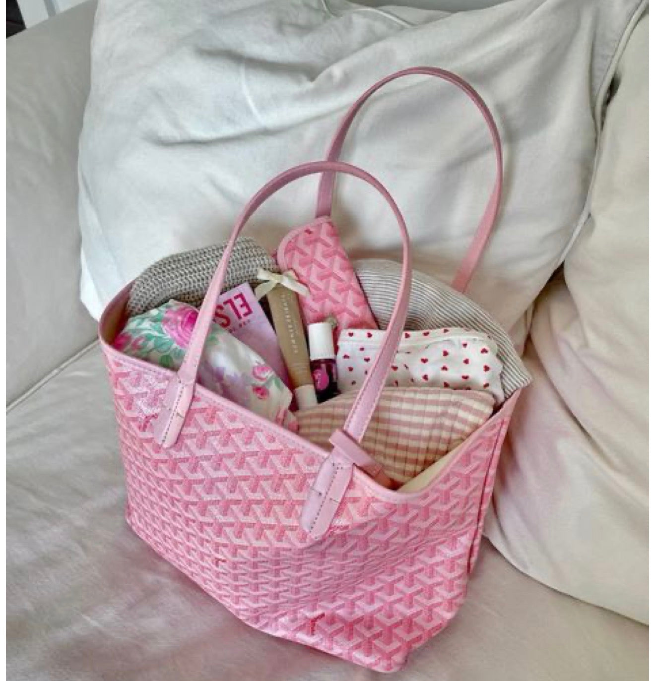 Goyard Bag 🎀📚