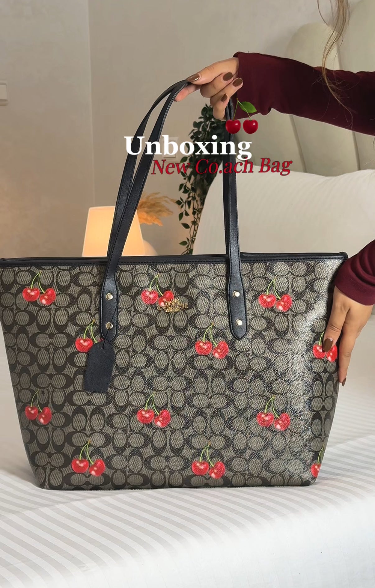 Cherry Coach bag 🍒🍂